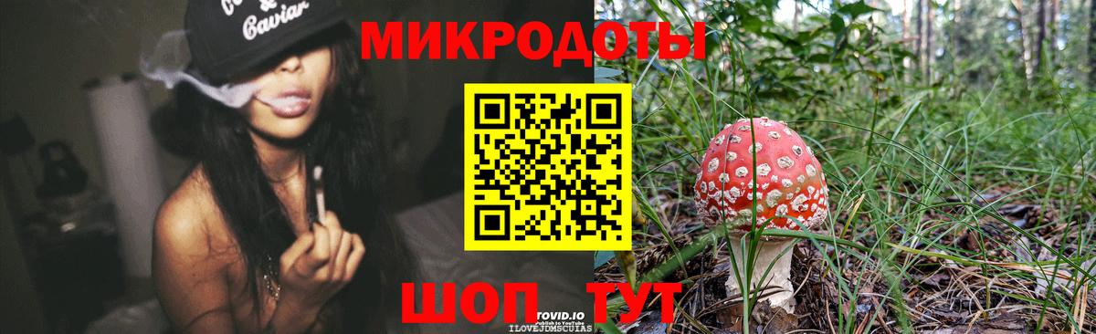 Псилоцибиновые грибы мицелий Элиста