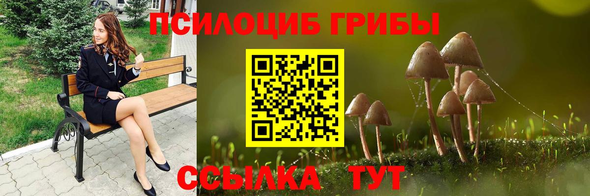 Элиста  Галлюциногенные грибы MAGIC MUSHROOMS  Вход с VPN 